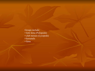 Groups include: •  fork ferns (Psilopsids) •  club mosses (Lycopods) •  horsetails •  ferns 