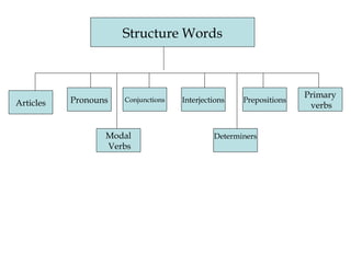 Structure Words Articles Determiners Modal Verbs Primary verbs Prepositions Interjections Conjunctions Pronouns 