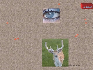 ‫المحتوى‬




‫معلم أول لغة انجليزية‬
 