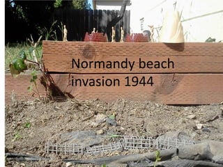 Normandy beach
invasion 1944
 