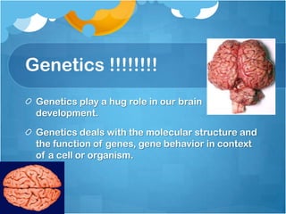 Genetics !!!!!!!!
 Genetics play a hug role in our brain
 development.

 Genetics deals with the molecular structure and
 the function of genes, gene behavior in context
 of a cell or organism.
 