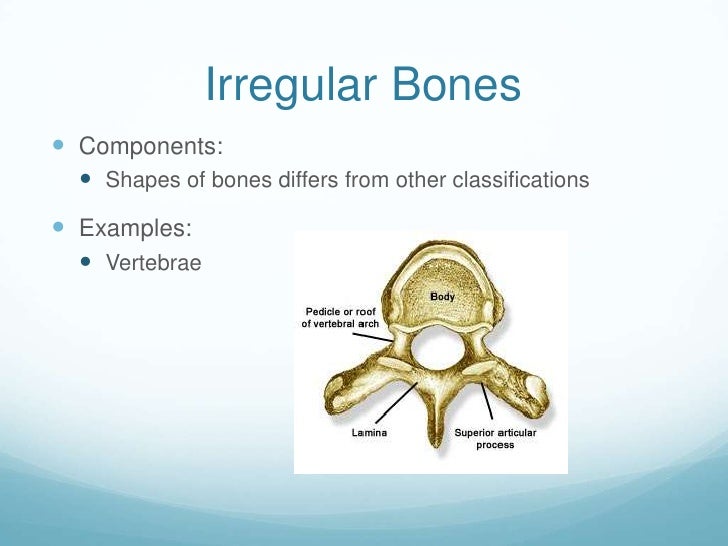 irregular bones