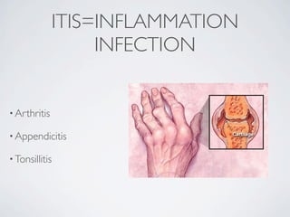 ITIS=INFLAMMATION
                   INFECTION


• Arthritis

• Appendicitis

• Tonsillitis
 