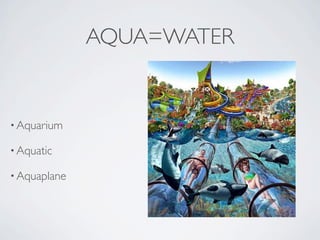 AQUA=WATER


• Aquarium

• Aquatic

• Aquaplane
 