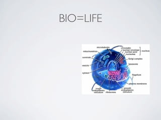 BIO=LIFE
 