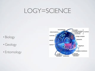 LOGY=SCIENCE


• Biology

• Geology

• Entomology
 