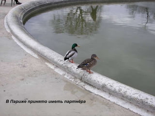 В Париже принято иметь партнёра 