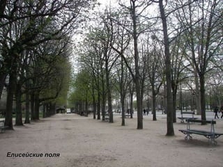 Елисейские поля 