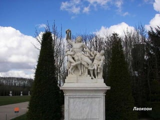 Лаокоон 
