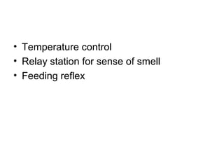 • Temperature control
• Relay station for sense of smell
• Feeding reflex
 