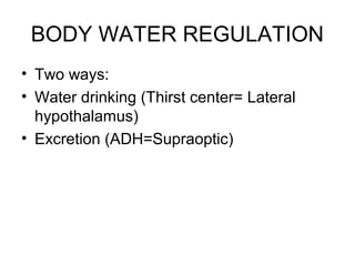 BODY WATER REGULATION
• Two ways:
• Water drinking (Thirst center= Lateral
  hypothalamus)
• Excretion (ADH=Supraoptic)
 