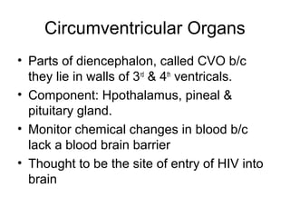 Circumventricular Organs
• Parts of diencephalon, called CVO b/c
  they lie in walls of 3rd & 4th ventricals.
• Component: Hpothalamus, pineal &
  pituitary gland.
• Monitor chemical changes in blood b/c
  lack a blood brain barrier
• Thought to be the site of entry of HIV into
  brain
 