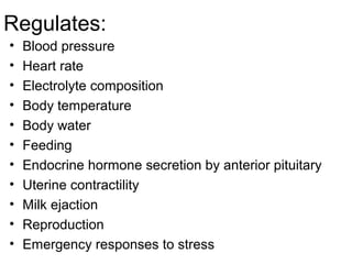 Regulates:
•   Blood pressure
•   Heart rate
•   Electrolyte composition
•   Body temperature
•   Body water
•   Feeding
•   Endocrine hormone secretion by anterior pituitary
•   Uterine contractility
•   Milk ejaction
•   Reproduction
•   Emergency responses to stress
 