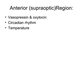 Anterior (supraoptic)Region:
• Vasopressin & oxytocin
• Circadian rhythm
• Temperature
 