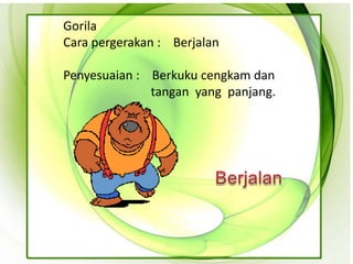 Gorila
Cara pergerakan : Berjalan

Penyesuaian : Berkuku cengkam dan
              tangan yang panjang.
 