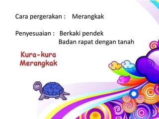 Cara pergerakan : Merangkak

Penyesuaian : Berkaki pendek
              Badan rapat dengan tanah
 