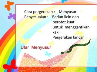 Cara pergerakan : Menyusur
Penyesuaian : Badan licin dan
               berotot kuat
               untuk menggantikan
               kaki.
               Pergerakan lancar
 