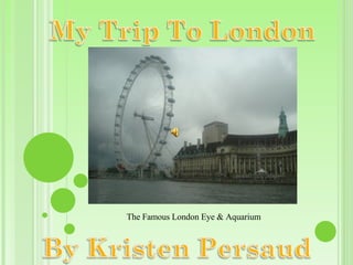 The Famous London Eye & Aquarium 