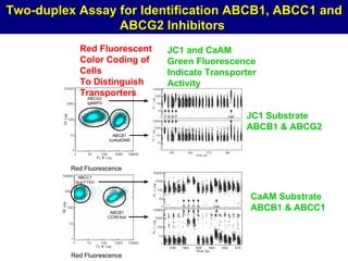 Two-duplex Assay for Identification ABCB1, ABCC1 and
                 ABCG2 Inhibitors
            Red Fluorescent           JC1 and CaAM
            Color Coding of           Green Fluorescence
            Cells                     Indicate Transporter
            To Distinguish            Activity
            Transporters
              ABCG2
                IgMXP3


                                     PNN P                   Las   JC1 Substrate
                                                                   ABCB1 & ABCG2
                           ABCB1
                         JurKatDNR




          Red Fluorescence
            ABCC1
           SupT1Vin


                                                                   CaAM Substrate
                          ABCB1
                                             N P P N   Lox
                                                                   ABCB1 & ABCC1
                         CCRFAdr




          Red Fluorescence
 