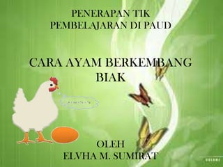 PENERAPAN TIK
  PEMBELAJARAN DI PAUD


CARA AYAM BERKEMBANG
        BIAK




         OLEH
    ELVHA M. SUMIRAT
 