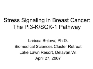 Stress Signaling in Breast Cancer:
    The PI3-K/SGK-1 Pathway

           Larissa Belova, Ph.D.
    Biomedical Sciences Cluster Retreat
       Lake Lawn Resort, Delavan,WI
               April 27, 2007
 