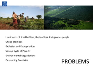 Livelihoods of Smallholders, the landless, Indegenous people
Cheap promises
Exclusion and Expropriation
Vicious Cycle of Poverty
Environmental Degradations
Developing Countries
PROBLEMS7
 