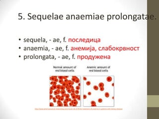 5. Sequelae anaemiae prolongatae.
• sequela, - ae, f. последица
• anaemia, - ae, f. анемија, слабокрвност
• prolongata, - ae, f. продужена
http://www.pharmaceutical-networking.com/merck-mk-2578-for-treatment-of-anaemia-in-patients-with-kidney-disease/
 