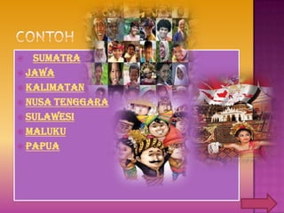  SUMATRA
 JAWA
 KALIMATAN
 NUSA TENGGARA
 SULAWESI
 MALUKU
 PAPUA
 