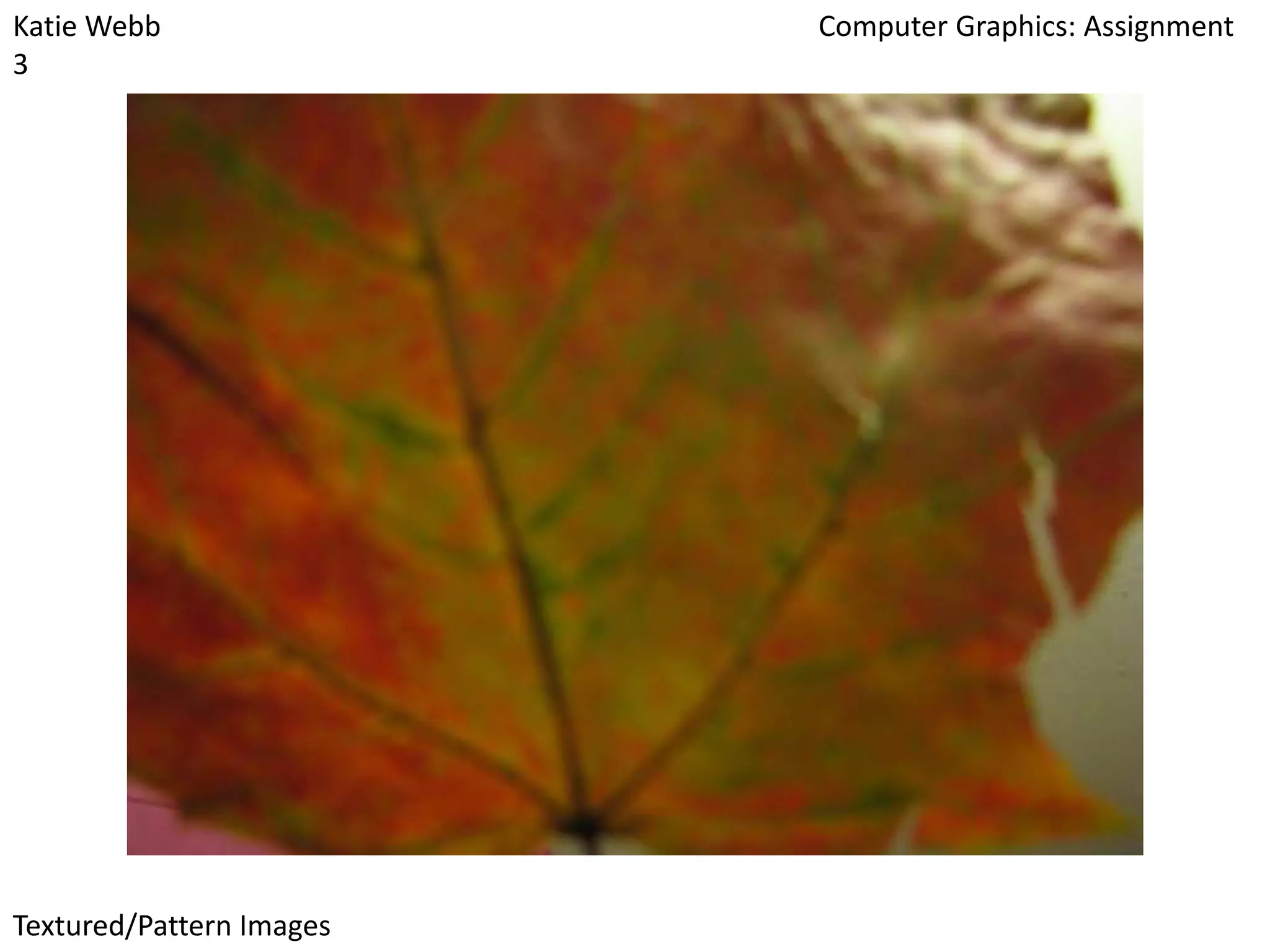 Katie Webb
3

Textured/Pattern Images

Computer Graphics: Assignment

 