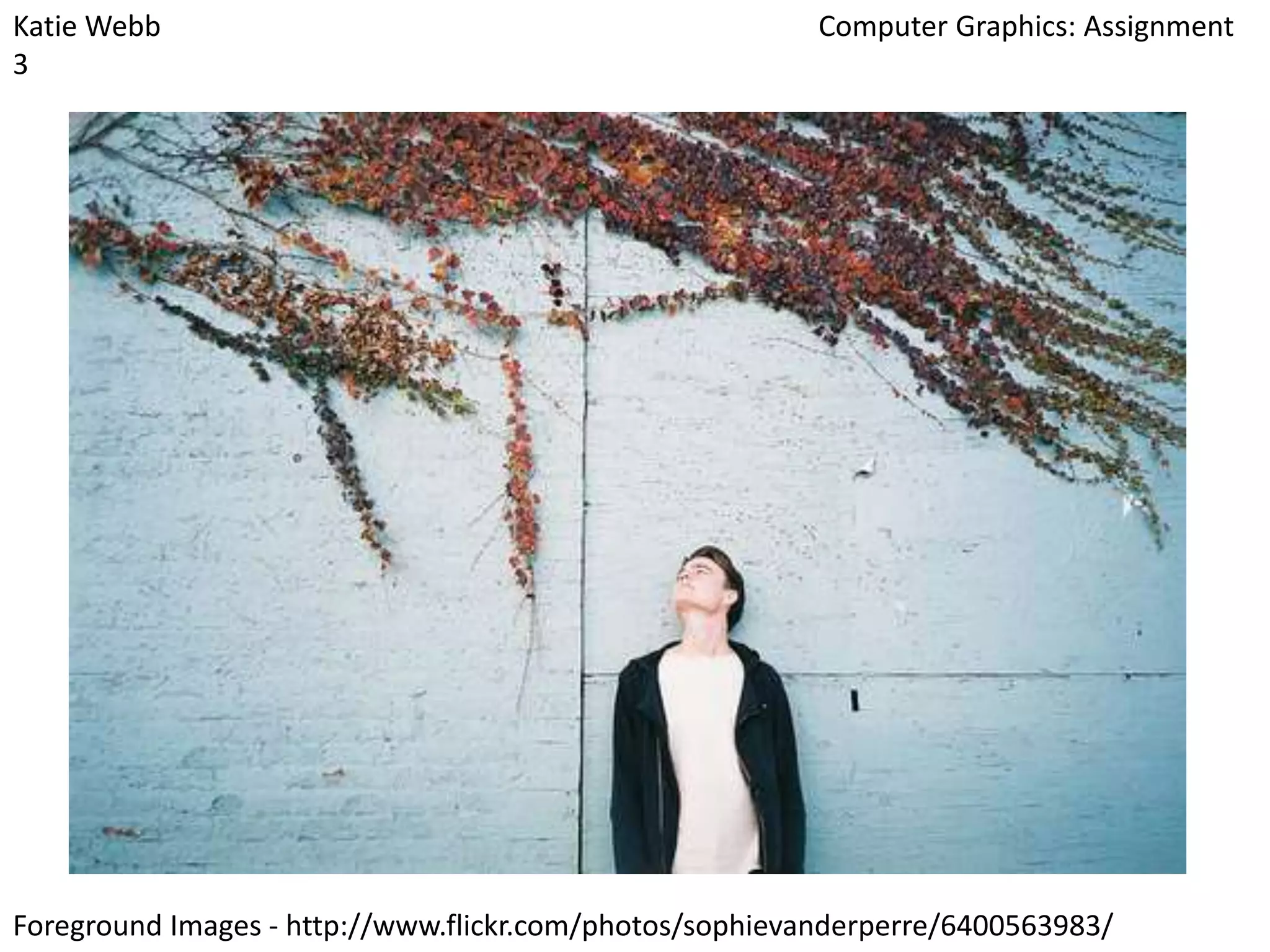 Katie Webb
3

Computer Graphics: Assignment

Foreground Images - http://www.flickr.com/photos/sophievanderperre/6400563983/

 