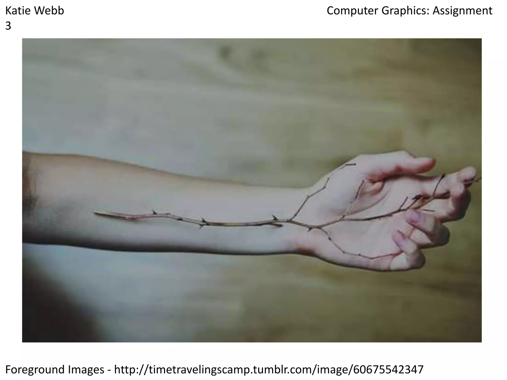 Katie Webb
3

Computer Graphics: Assignment

Foreground Images - http://timetravelingscamp.tumblr.com/image/60675542347

 