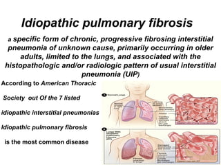 Idiopathic pulmonary fibrosis
a specific

form of chronic, progressive fibrosing interstitial
pneumonia of unknown cause, primarily occurring in older
adults, limited to the lungs, and associated with the
histopathologic and/or radiologic pattern of usual interstitial
pneumonia (UIP)
According to American Thoracic
Society out Of the 7 listed
idiopathic interstitial pneumonias
Idiopathic pulmonary fibrosis
is the most common disease

 