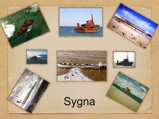 Sygna

 