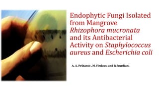 Endophytic Fungi Isolated
from Mangrove
Rhizophora mucronata
and its Antibacterial
Activity on Staphylococcus
aureus and Escherichia coli
A. A. Prihanto , M. Firdaus, and R. Nurdiani

 