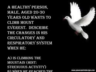 A healthy person,
male, aged 20-30
years old wants to
climb Mount
Everest. Describe
the changes in his
circulatory and
respiratory system
when he:
a) is climbing the
mountain (hint:
strenuous activity)

 