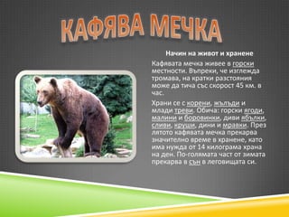 Защитени видове животни и растения | PPT