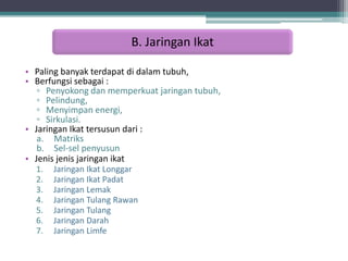 B. Jaringan Ikat
• Paling banyak terdapat di dalam tubuh,
• Berfungsi sebagai :
▫ Penyokong dan memperkuat jaringan tubuh,
▫ Pelindung,
▫ Menyimpan energi,
▫ Sirkulasi.
• Jaringan Ikat tersusun dari :
a. Matriks
b. Sel-sel penyusun
• Jenis jenis jaringan ikat
1.
2.
3.
4.
5.
6.
7.

Jaringan Ikat Longgar
Jaringan Ikat Padat
Jaringan Lemak
Jaringan Tulang Rawan
Jaringan Tulang
Jaringan Darah
Jaringan Limfe

 