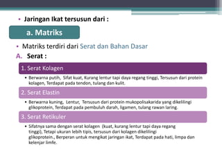 • Jaringan Ikat tersusun dari :

a. Matriks
• Matriks terdiri dari Serat dan Bahan Dasar
A. Serat :
1. Serat Kolagen
• Berwarna putih, Sifat kuat, Kurang lentur tapi daya regang tinggi, Tersusun dari protein
kolagen, Terdapat pada tendon, tulang dan kulit.

2. Serat Elastin
• Berwarna kuning, Lentur, Tersusun dari protein mukopolisakarida yang dikelilingi
glikoprotein, Terdapat pada pembuluh darah, ligamen, tulang rawan laring.

3. Serat Retikuler
• Sifatnya sama dengan serat kolagen (kuat, kurang lentur tapi daya regang
tinggi), Tetapi ukuran lebih tipis, tersusun dari kolagen dikelilingi
glikoprotein., Berperan untuk mengikat jaringan ikat, Terdapat pada hati, limpa dan
kelenjar limfe.

 