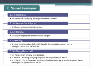 b. Sel-sel Penyusun
1. Sel Fibroblas
• Sel berbentuk serat yang berfungsi utk sekresi protein.

2. Sel Lemak (Sel Adiposa)
• Sel khusus untuk menyimpan lemak.

3. Sel Plasma
• Sel yang memproduksi antibodi untuk antigen

4. Makrofag
• Sel yang bentuknya berubah-ubah, bersifat fagositosis (pemakan) zat-zat
buangan, sel-sel mati dan bakteri.

5. Sel Tiang (Mast cell)
• Sel Tiang adalah sel yang memproduksi :
• a. Heparin : Antikoagulan yang berperan dalam pembekuan darah.
• b. Histamin : Zat akibat reaksi sel tiang terhadap antigen yang sesuai, berperan dalam
meningkatkan permeabilitas darah.

 