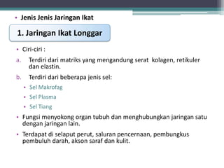 • Jenis Jenis Jaringan Ikat

1. Jaringan Ikat Longgar
• Ciri-ciri :
a.

Terdiri dari matriks yang mengandung serat kolagen, retikuler
dan elastin.

b.

Terdiri dari beberapa jenis sel:


Sel Makrofag



Sel Plasma



Sel Tiang

• Fungsi menyokong organ tubuh dan menghubungkan jaringan satu
dengan jaringan lain.

• Terdapat di selaput perut, saluran pencernaan, pembungkus
pembuluh darah, akson saraf dan kulit.

 