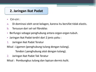 2. Jaringan Ikat Padat
• Ciri-ciri :
a.

Di dominasi oleh serat kolagen, karena itu bersifat tidak elastis.

b.

Tersusun dari sel-sel fibroblas

• Berfungsi sebagai penghubung antara organ-organ tubuh.
• Jaringan Ikat Padat terdiri dari 2 jenis yaitu :

1.

Jaringan Ikat Padat Teratur

Misal : Ligamen (penghubung tulang dengan tulang).
Tendon ( penghubung otot dengan tulang).
2.

Jaringan Ikat Padat Tak Teratur

Misal : Pembungkus tulang dan lapisan dermis kulit.

 