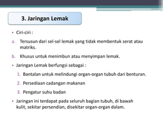 3. Jaringan Lemak
• Ciri-ciri :
a. Tersusun dari sel-sel lemak yang tidak membentuk serat atau
matriks.
b. Khusus untuk menimbun atau menyimpan lemak.
• Jaringan Lemak berfungsi sebagai :

1. Bantalan untuk melindungi organ-organ tubuh dari benturan.
2. Persediaan cadangan makanan
3. Pengatur suhu badan

• Jaringan ini terdapat pada seluruh bagian tubuh, di bawah
kulit, sekitar persendian, disekitar organ-organ dalam.

 