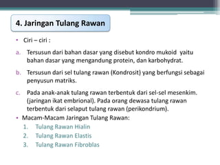 4. Jaringan Tulang Rawan
• Ciri – ciri :
a. Tersusun dari bahan dasar yang disebut kondro mukoid yaitu
bahan dasar yang mengandung protein, dan karbohydrat.
b. Tersusun dari sel tulang rawan (Kondrosit) yang berfungsi sebagai
penyusun matriks.
c. Pada anak-anak tulang rawan terbentuk dari sel-sel mesenkim.
(jaringan ikat embrional). Pada orang dewasa tulang rawan
terbentuk dari selaput tulang rawan (perikondrium).
• Macam-Macam Jaringan Tulang Rawan:
1. Tulang Rawan Hialin
2. Tulang Rawan Elastis
3. Tulang Rawan Fibroblas

 