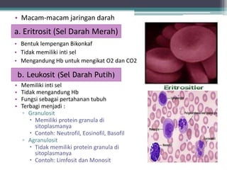 • Macam-macam jaringan darah

a. Eritrosit (Sel Darah Merah)
• Bentuk lempengan Bikonkaf
• Tidak memiliki inti sel
• Mengandung Hb untuk mengikat O2 dan CO2

b. Leukosit (Sel Darah Putih)
•
•
•
•

Memiliki inti sel
Tidak mengandung Hb
Fungsi sebagai pertahanan tubuh
Terbagi menjadi :
▫ Granulosit
 Memiliki protein granula di
sitoplasmanya
 Contoh: Neutrofil, Eosinofil, Basofil
▫ Agranulosit
 Tidak memiliki protein granula di
sitoplasmanya
 Contoh: Limfosit dan Monosit

 