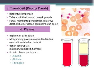 c. Trombosit (Keping Darah)
• Berbentuk lempengan
• Tidak ada inti sel namun banyak granula
• Fungsi membantu penghentian keluarnya
darah akibat kerusakan pada pembuluh darah

d. Plasma
• Bagian Cair pada darah
• Mengandung protein plasma dan larutan
elektrolit serta bahan terlarut
• Bahan Terlarut (zat
makanan, trombosit, hormon)
• Protein plasma terdiri dari:
▫ Albumin
▫ Globulin
▫ Fibrinogen

 