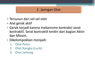 C. Jaringan Otot
• Tersusun dari sel-sel otot
• Alat gerak aktif
• Gerak terjadi karena mekanisme kontraksi serat
kontraktil. Serat kontraktil terdiri dari bagian Aktin
dan Miosin.
• Dikelompokkan menjadi:
1. Otot Polos
2. Otot Rangka (Lurik)
3. Otot Jantung

 