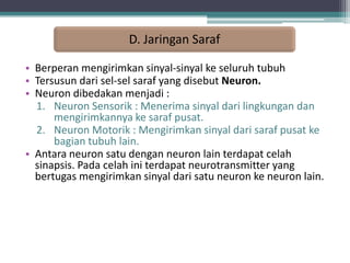 D. Jaringan Saraf
• Berperan mengirimkan sinyal-sinyal ke seluruh tubuh
• Tersusun dari sel-sel saraf yang disebut Neuron.
• Neuron dibedakan menjadi :
1. Neuron Sensorik : Menerima sinyal dari lingkungan dan
mengirimkannya ke saraf pusat.
2. Neuron Motorik : Mengirimkan sinyal dari saraf pusat ke
bagian tubuh lain.
• Antara neuron satu dengan neuron lain terdapat celah
sinapsis. Pada celah ini terdapat neurotransmitter yang
bertugas mengirimkan sinyal dari satu neuron ke neuron lain.

 