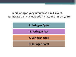 Jenis jaringan yang umumnya dimiliki oleh
vertebrata dan manusia ada 4 macam jaringan yaitu :

A. Jaringan Epitel
B. Jaringan Ikat
C. Jaringan Otot
D. Jaringan Saraf

 