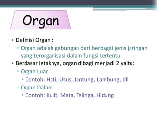 Organ
• Definisi Organ :
▫ Organ adalah gabungan dari berbagai jenis jaringan
yang terorganisasi dalam fungsi tertentu
• Berdasar letaknya, organ dibagi menjadi 2 yaitu:
▫ Organ Luar
 Contoh: Hati, Usus, Jantung, Lambung, dll
▫ Organ Dalam
 Contoh: Kulit, Mata, Telinga, Hidung

 