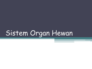 Sistem Organ Hewan

 